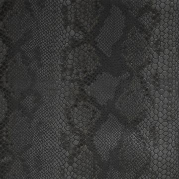 Créations Métaphores - Boa 71141-003