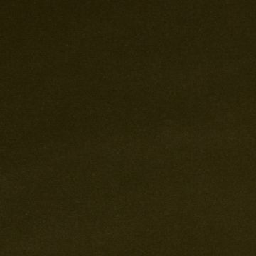 Créations Métaphores - Amazonie 71142-004