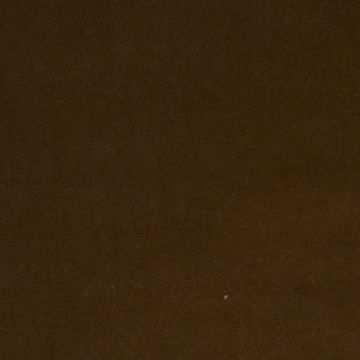 Créations Métaphores - Amazonie 71142-007