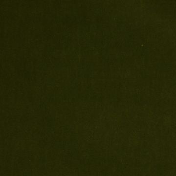 Créations Métaphores - Amazonie 71142-009