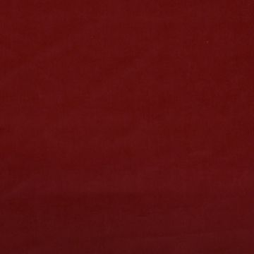 Créations Métaphores - Amazonie 71142-013