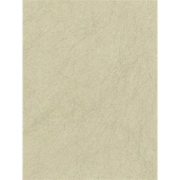 Osborne & Little - O&L Wallpaper Album 6 - Quartz CW5410-28