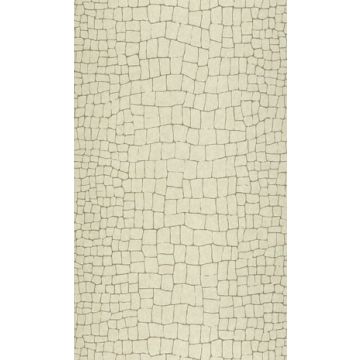Osborne & Little - O&L Wallpaper Album 6 - Caiman CW6001-02