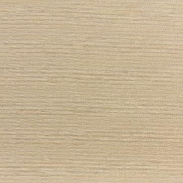 Dedar - Rafia D14006.006