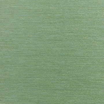 Dedar - Rafia D14006.009