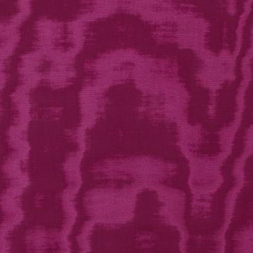 Dedar - Amoir Libre - Cardinale D40004