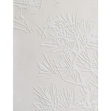 Dedar - À Contre-Jour - D20801-001 Calisson