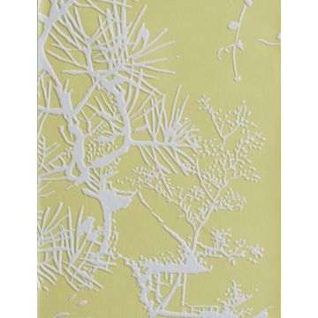 Dedar - À Contre-Jour - D20801-005 Givré