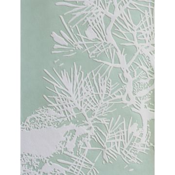 Dedar - À Contre-Jour - D20801-007 Acqua