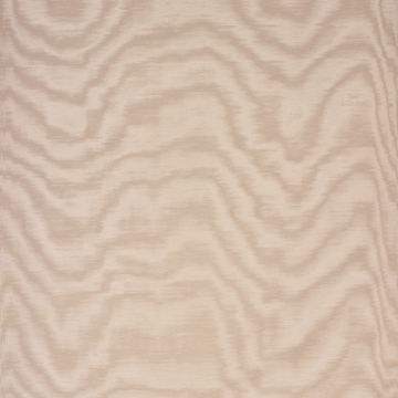 Dedar - Amoir Fou - D20806-002 Poudre