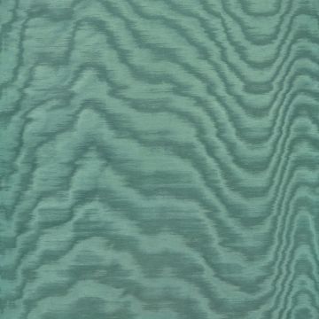 Dedar - Amoir Fou - D20806-016 Pino