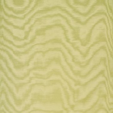 Dedar - Amoir Fou - D20806-018 Anice