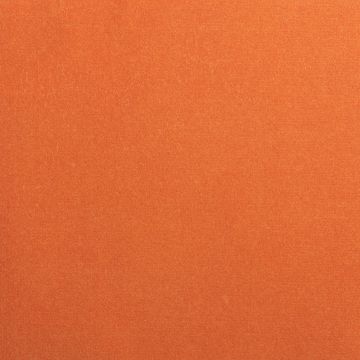 Dedar - Adamo & Eva - ADAMO-113