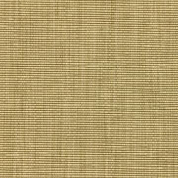 Dedar - Jasper - JASP-024