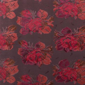 Dedar - Karabagh - KARABA-003