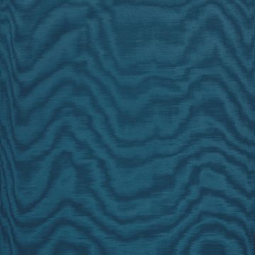 Dedar - Amoir Fou - T20007-014 - Ottanio