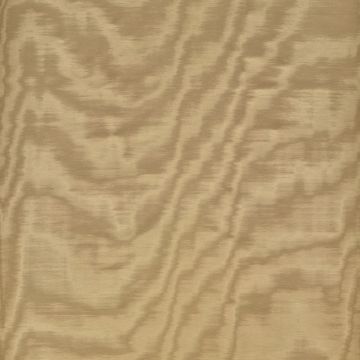 Dedar - Amoir Fou - T20007-019 - Bronzo