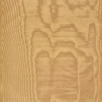 Dedar - Amoir Fou - T20007-020 - Toffee