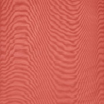 Dedar - Amoir Fou - T20007-022 - Corallo