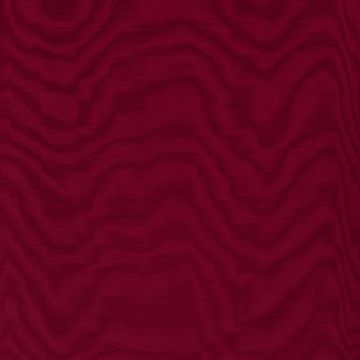 Dedar - Amoir Fou - T20007-023 - Bordeaux