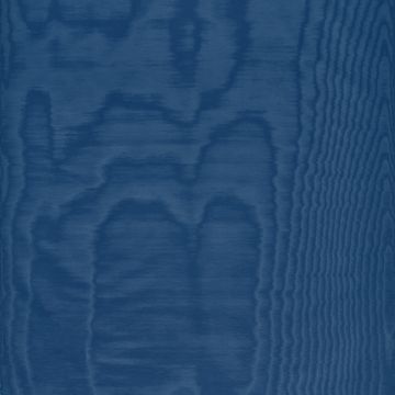 Dedar - Amoir Fou - T20007-025 - Prusse