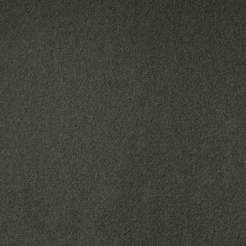 Dedar - No Excuses - T20011-005 - Loden