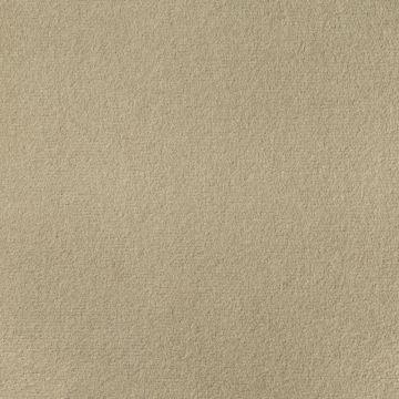 Dedar - No Excuses - T20011-008 - Cammello