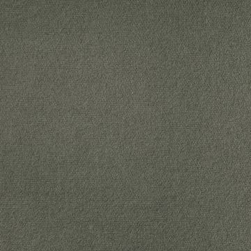 Dedar - No Excuses - T20011-010 - Taupe
