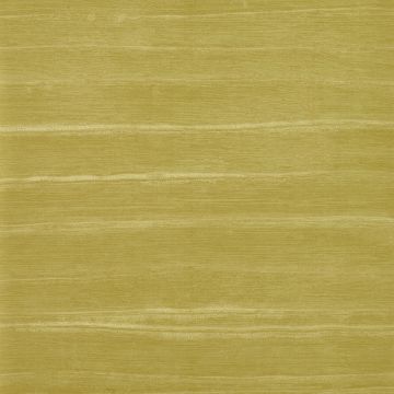 Dedar - Lacca - D17008-004 Dorato