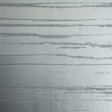 Dedar - Lacca Metal - D17009-001 Silver