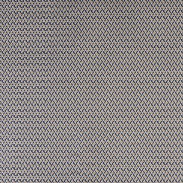 Dedar - SN Decogramma - D18007-002 Gold Turtle