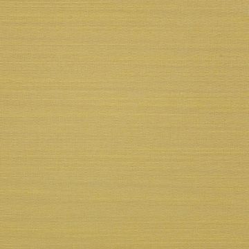 Dedar - Alter Ego - D19100-023 Canari