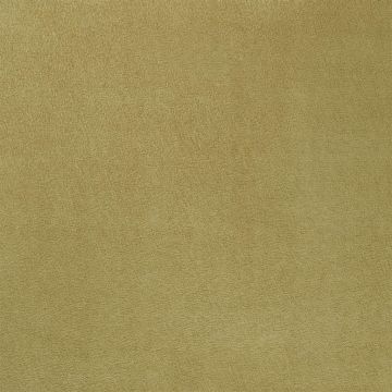 Designers Guild - Mezzola - F1090/03 Biscuit
