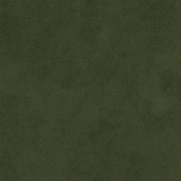 Designers Guild - Mezzola - F1090/11 Sage