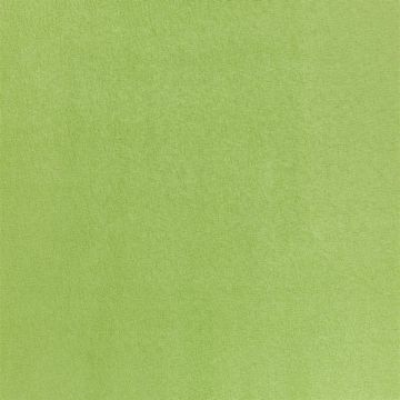 Designers Guild - Mezzola - F1090/13 Leaf