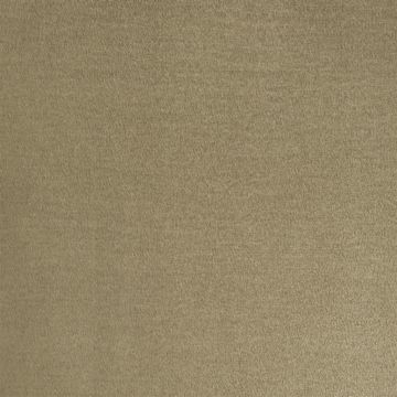 Designers Guild - Mezzola - F1090/74 Cappuccino