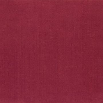 Designers Guild - Amboise - F1166/01 Crhysantemum