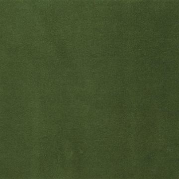 Designers Guild - Varese - F1190/07 Fir