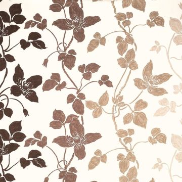 Designers Guild - Sevilla - F1262/02 Chocolate