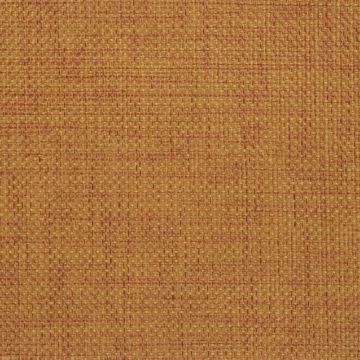 Designers Guild - Catalan - F1267/10 Sienna