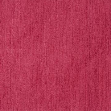 Designers Guild - Genova - F1327/04