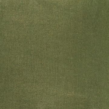 Designers Guild - Tsuga - F1420/23 Fern