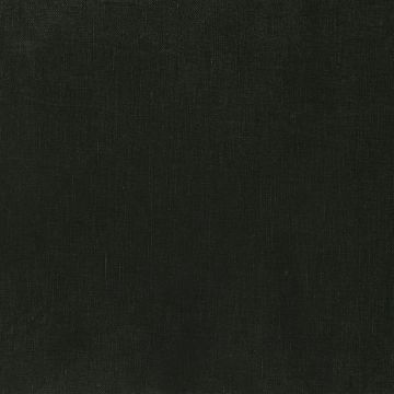 Designers Guild - Tsuga - F1420/30 Onyx