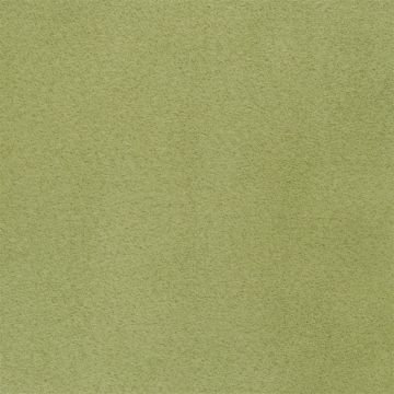 Designers Guild - Mezzola Lusso - F1453/12 Catkin