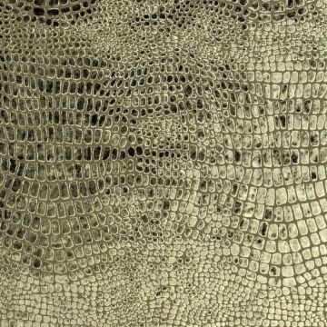 Designers Guild - Nabucco - F1545/03 Oyster