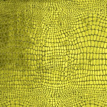 Designers Guild - Nabucco - F1545/07 Robinia