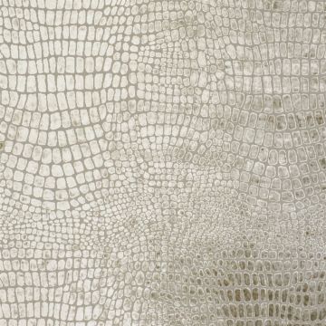 Designers Guild - Nabucco - F1545/08 Birch