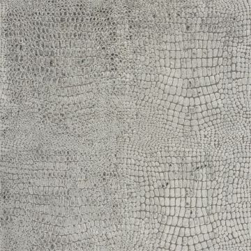 Designers Guild - Nabucco - F1545/14 Graphite