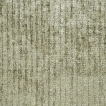 Designers Guild - Ruggiero - F1547/03 Silver Birch