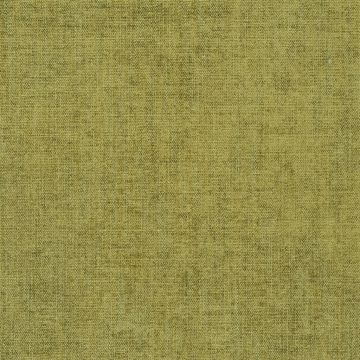 Designers Guild - Bilbao - F1560/55 Olive